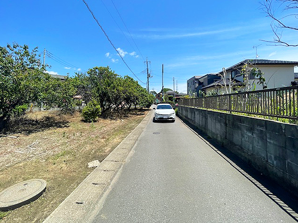 現地写真